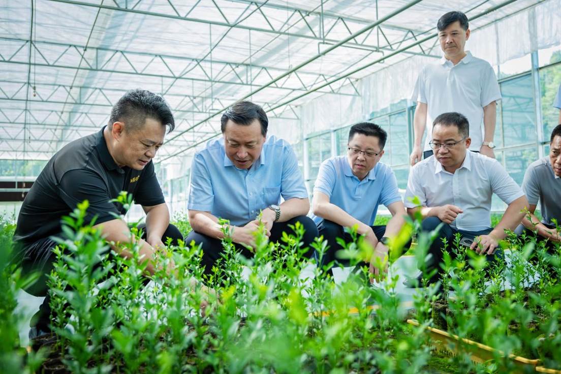 1da83b08a0dabdaf58fa230522a2f9c