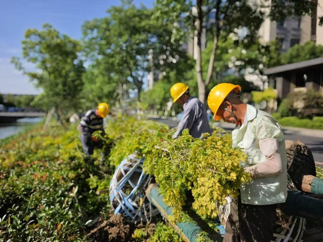 微信图片_20250717100008_572