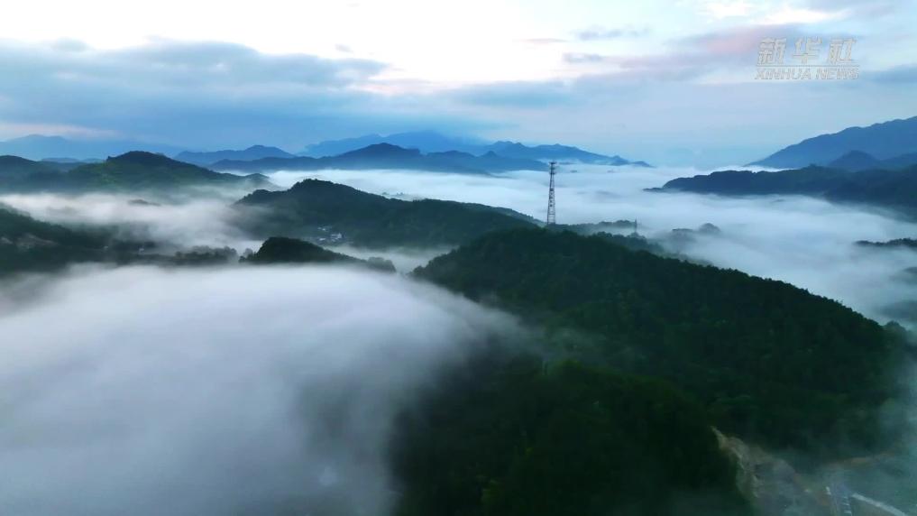 魅力山鄉(xiāng) | 薄霧籠山鄉(xiāng) 美麗如畫(huà)卷